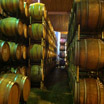 Winery Tours and Designated Drivers