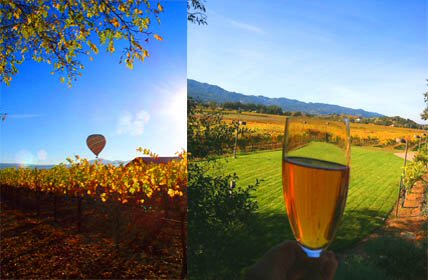 Tours of the Napa and Sonoma Valley Wine Regions